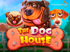 Red dog casino app download83